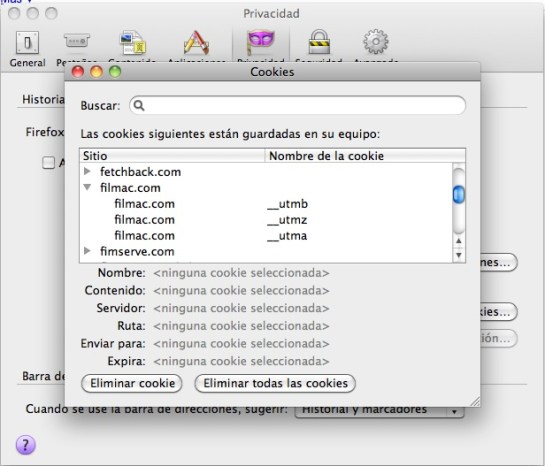 First-party cookies: persistentes